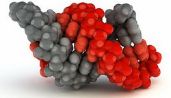 создание искусственных ассоциаций культивируемых клеток высших растений с микроорганизмами