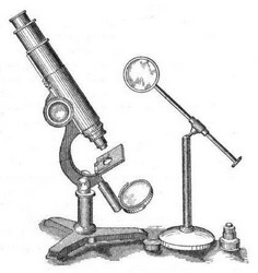 история микроскопа